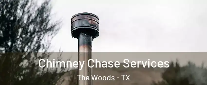 Chimney Chase Services The Woods - TX