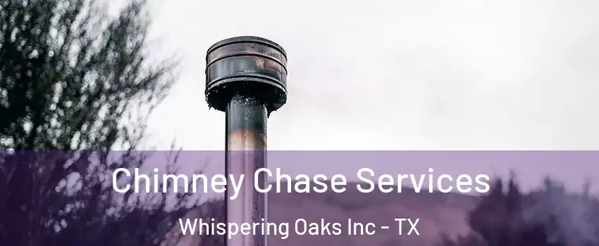 Chimney Chase Services Whispering Oaks Inc - TX
