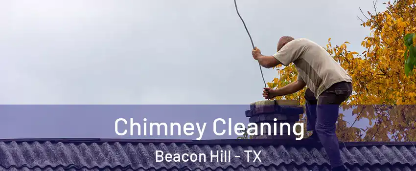 Chimney Cleaning Beacon Hill - TX