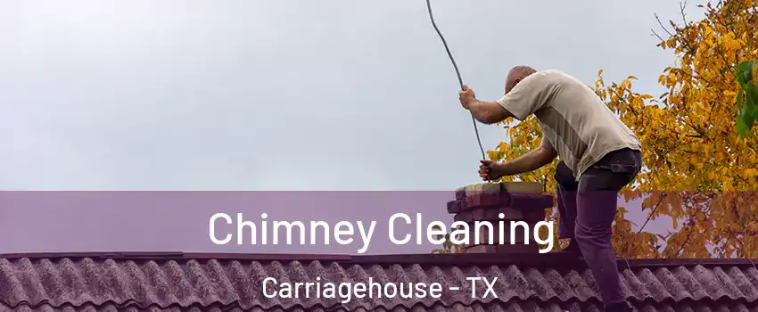 Chimney Cleaning Carriagehouse - TX