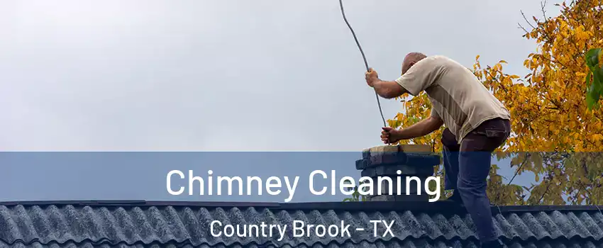 Chimney Cleaning Country Brook - TX