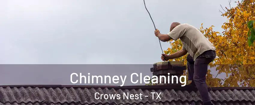 Chimney Cleaning Crows Nest - TX