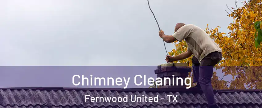 Chimney Cleaning Fernwood United - TX