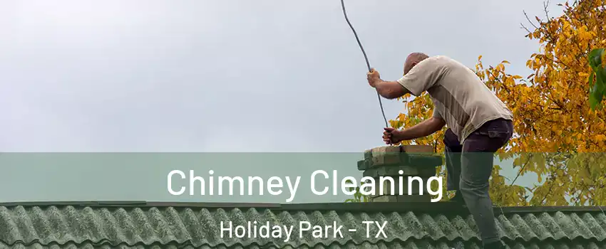Chimney Cleaning Holiday Park - TX