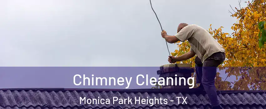 Chimney Cleaning Monica Park Heights - TX