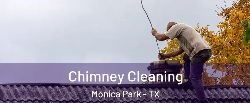 Chimney Cleaning Monica Park - TX