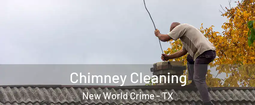 Chimney Cleaning New World Crime - TX