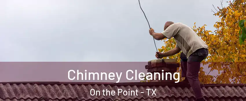 Chimney Cleaning On the Point - TX