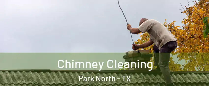 Chimney Cleaning Park North - TX