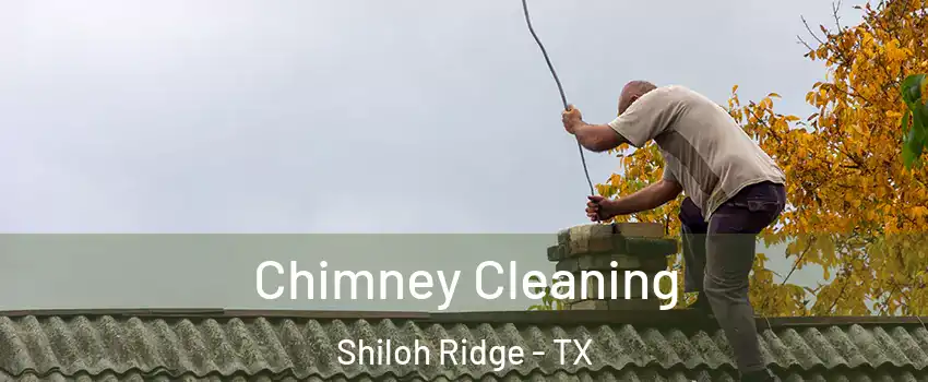Chimney Cleaning Shiloh Ridge - TX