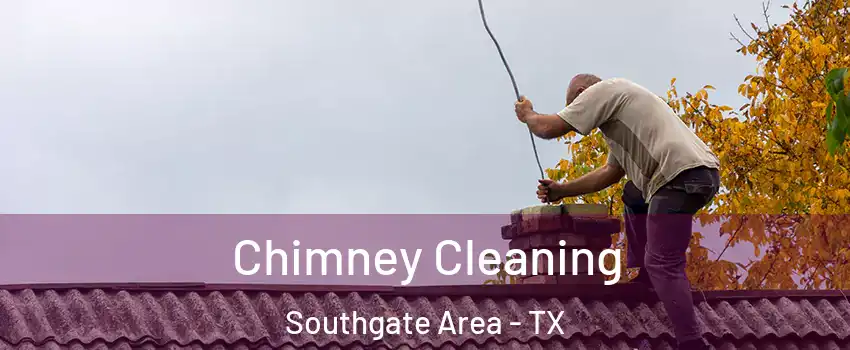 Chimney Cleaning Southgate Area - TX