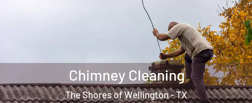 Chimney Cleaning The Shores of Wellington - TX