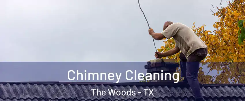 Chimney Cleaning The Woods - TX