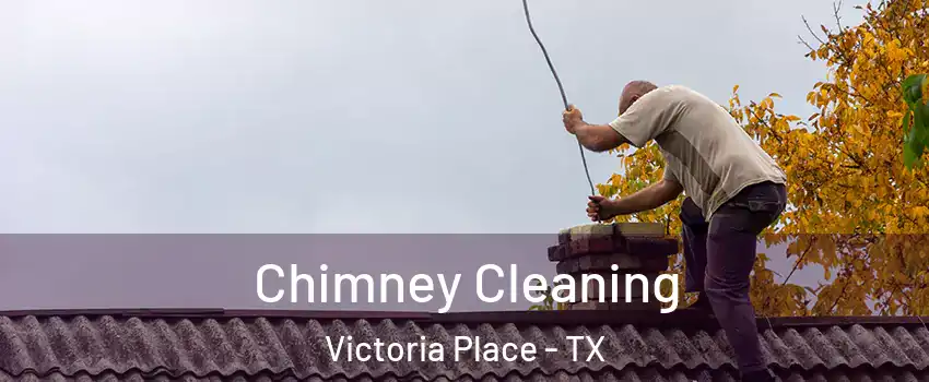 Chimney Cleaning Victoria Place - TX