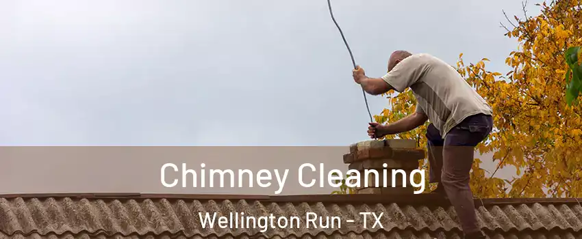 Chimney Cleaning Wellington Run - TX