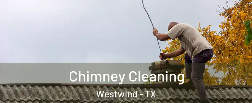 Chimney Cleaning Westwind - TX
