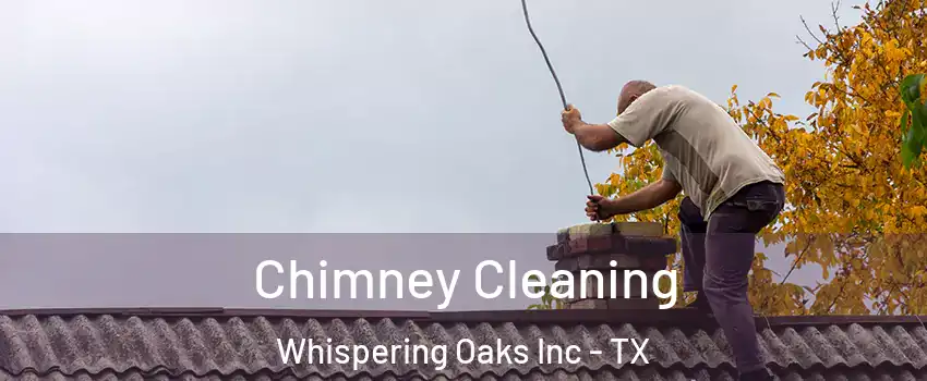 Chimney Cleaning Whispering Oaks Inc - TX
