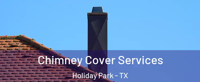 Chimney Cover Services Holiday Park - TX