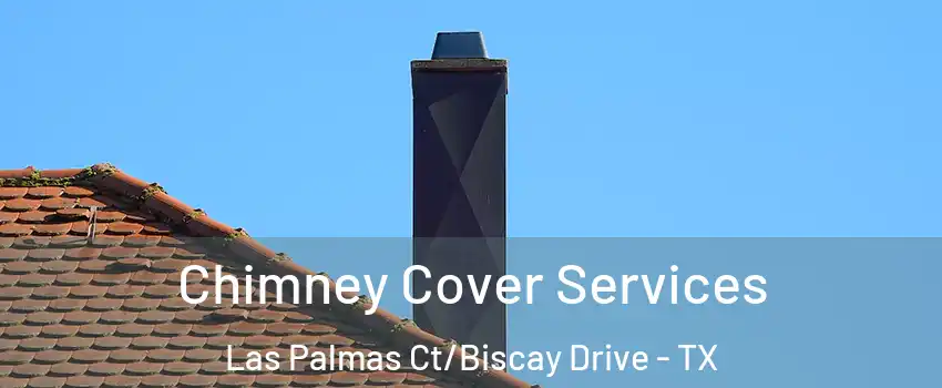 Chimney Cover Services Las Palmas Ct/Biscay Drive - TX