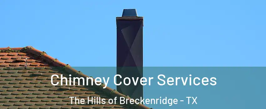 Chimney Cover Services The Hills of Breckenridge - TX