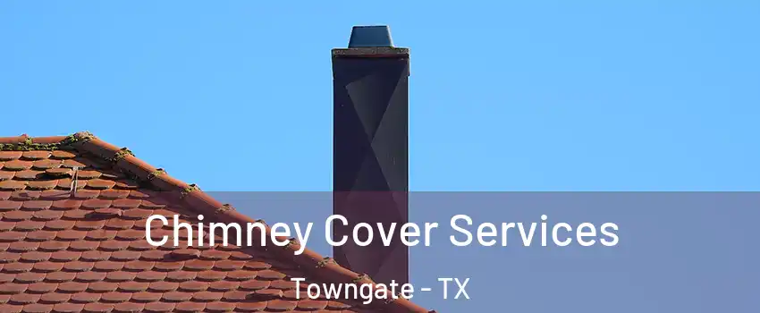 Chimney Cover Services Towngate - TX