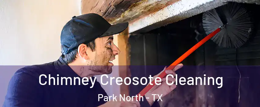 Chimney Creosote Cleaning Park North - TX