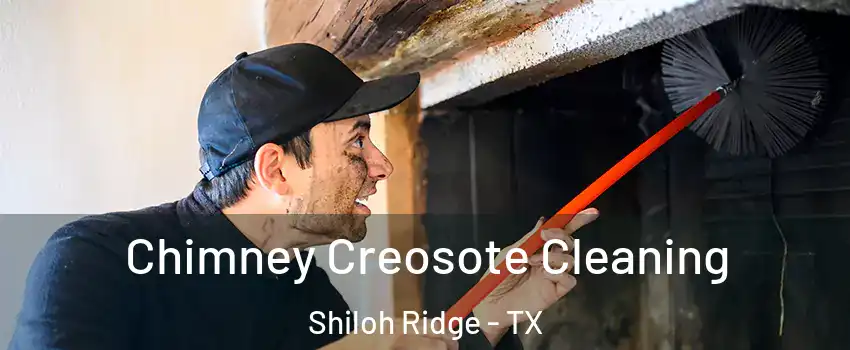 Chimney Creosote Cleaning Shiloh Ridge - TX