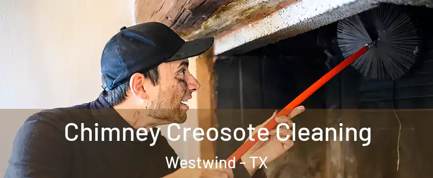 Chimney Creosote Cleaning Westwind - TX