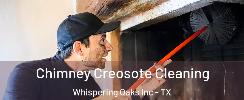 Chimney Creosote Cleaning Whispering Oaks Inc - TX