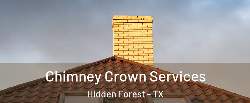 Chimney Crown Services Hidden Forest - TX