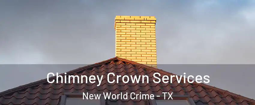 Chimney Crown Services New World Crime - TX