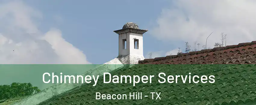 Chimney Damper Services Beacon Hill - TX