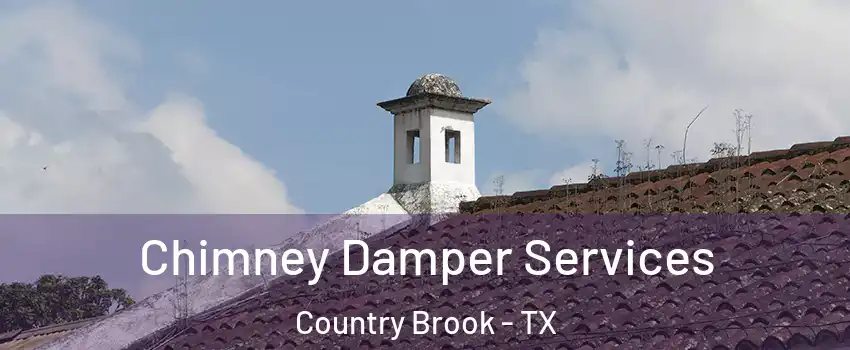 Chimney Damper Services Country Brook - TX