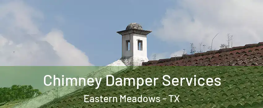 Chimney Damper Services Eastern Meadows - TX