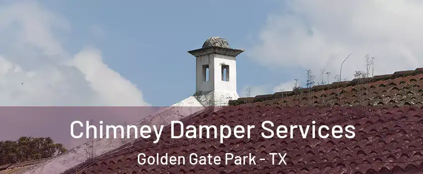 Chimney Damper Services Golden Gate Park - TX