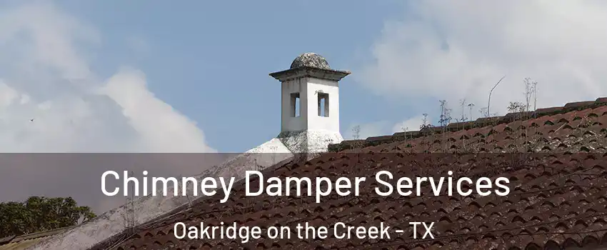 Chimney Damper Services Oakridge on the Creek - TX