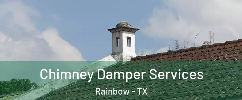Chimney Damper Services Rainbow - TX
