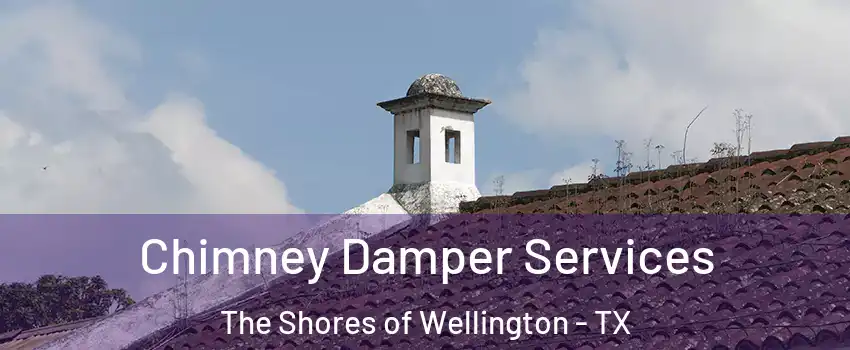 Chimney Damper Services The Shores of Wellington - TX