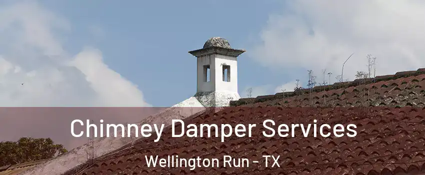 Chimney Damper Services Wellington Run - TX