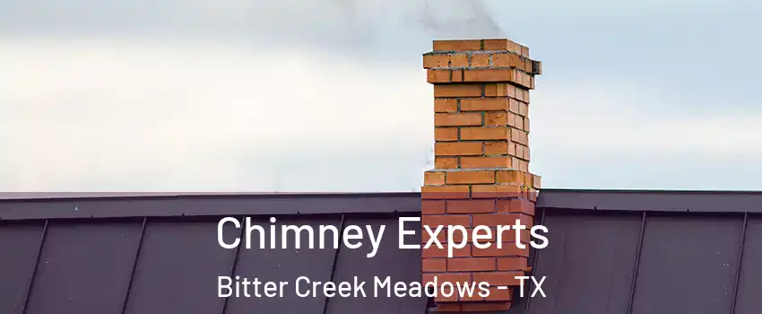 Chimney Experts Bitter Creek Meadows - TX
