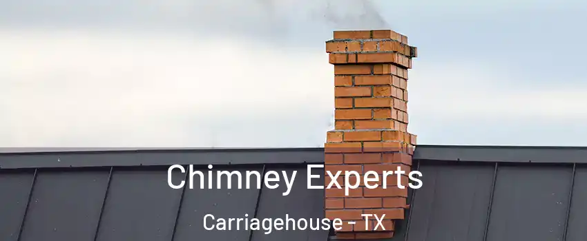 Chimney Experts Carriagehouse - TX
