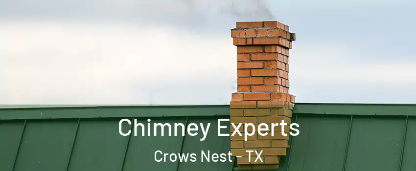 Chimney Experts Crows Nest - TX