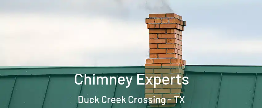 Chimney Experts Duck Creek Crossing - TX