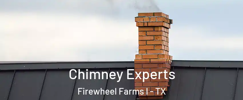 Chimney Experts Firewheel Farms I - TX