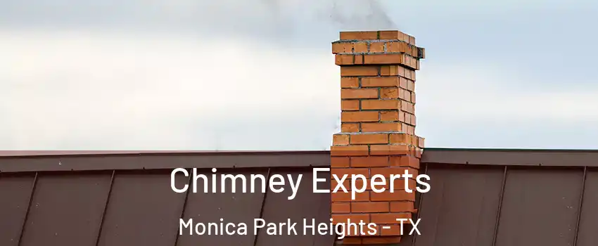 Chimney Experts Monica Park Heights - TX