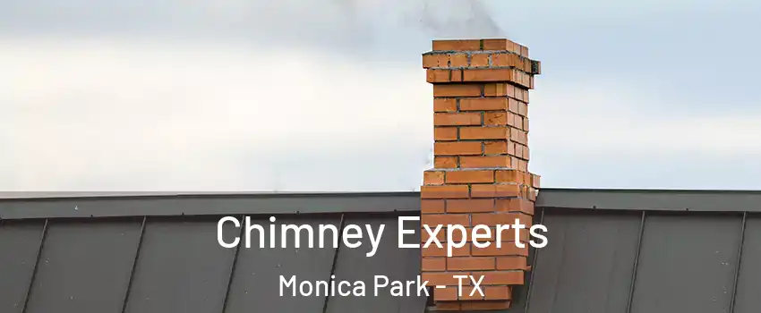 Chimney Experts Monica Park - TX