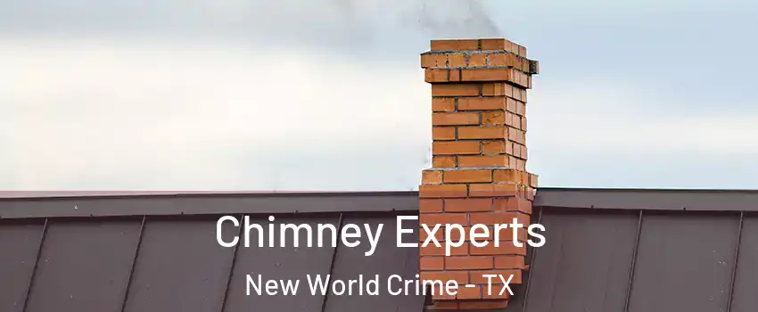 Chimney Experts New World Crime - TX