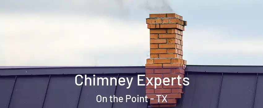 Chimney Experts On the Point - TX