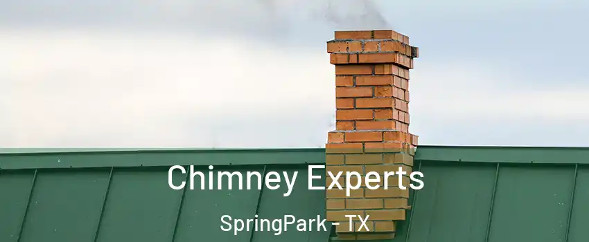Chimney Experts SpringPark - TX