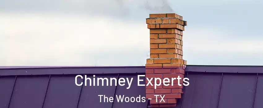 Chimney Experts The Woods - TX